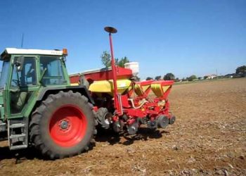 2009-04-02      Sementeira convencional