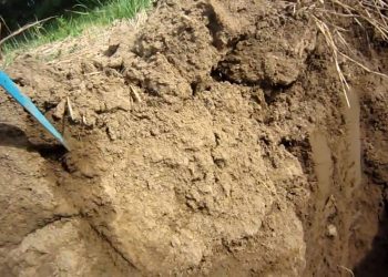 2010-04-29 Fertilização conceitos basicos Capitulo 1