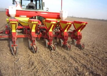 2012-03-08 Sementeira em ano seco