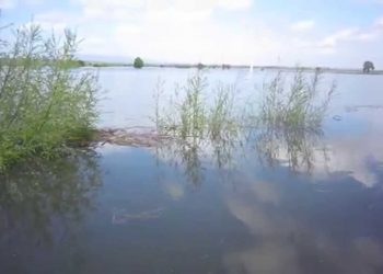 2013-03-30 Atrasos nas sementeiras devido excessos chuva e inundações