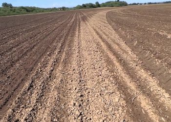 2013-05-03 Risco emergência junto às rodas