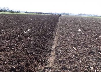 2014-03-12 Inicio da campanha