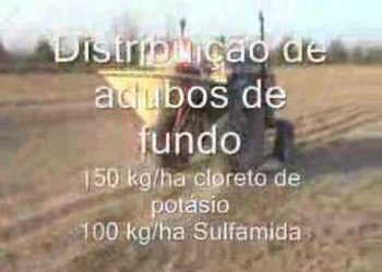 2º Capítulo – “Mobilização e Sementeira”