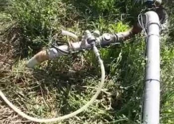 33º Dia Fertirrigação