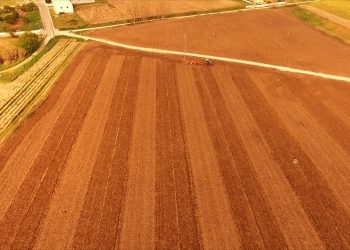 A Cultura do Milho – Gradagem