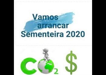 A sementeira de Milho, seus Custos e Emissões