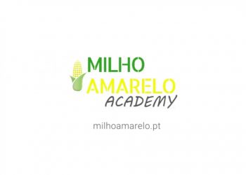 Academia Milho Amarelo