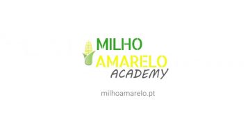 Academia Milho Amarelo