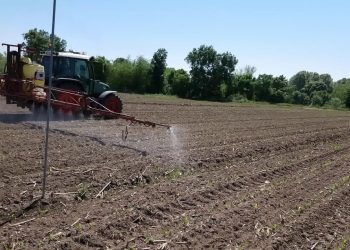 Aplicação do herbicida evitando dias de vento