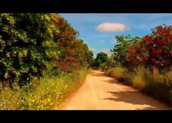 Áreas de conservação para o aumento da biodiversidade na Quinta da Cholda