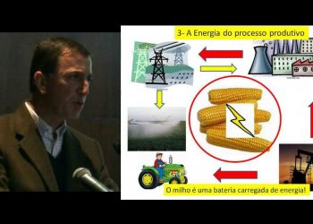 Autosuficiência em energia eléctrica nas explorações agricolas intensiva…