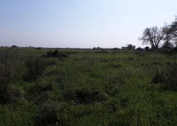 Biodiversidade: área de refugio não intervencionada 2014