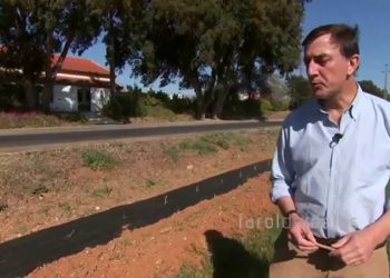 Bioesfera    (projecto Milho Amarelo Maio 2015)