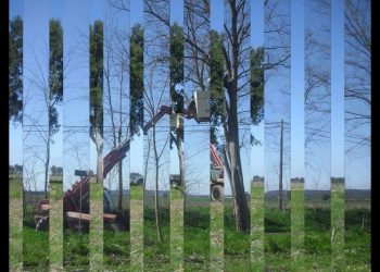 Caixas ninho para Morcegos 2013-02-10