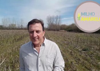Campanha 2019 vai arrancar. Planos para o novo ano agricola