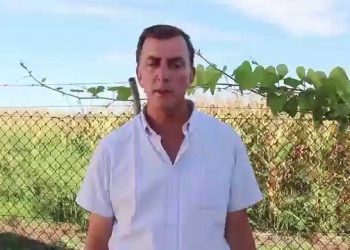 Cephalosporium maydis   Projecto MaisMilho 2014