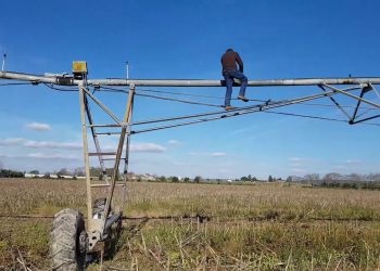 Check list antes do inicio das Sementeiras de Milho