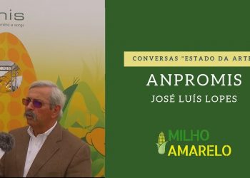 Conversas “Estado da Arte” – ANPROMIS – José Luís Lopes