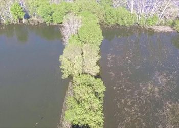Corredor Ecológico do Paúl do Boquilobo até à floresta