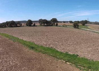 Corredores ecológicos 2015 (inicio das mobilizações) Vista aérea