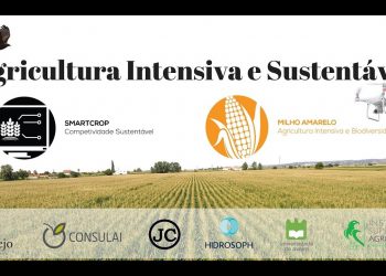 Dia de Campo – Agricultura Intensiva e Sustentável