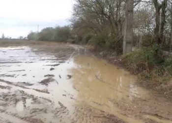 Drenagem das parcelas (manutenção de Inverno)