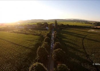 Drone ao serviço da Agricultura: Imagens aéreas do milho