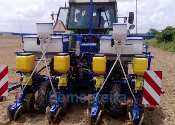 Estudo da melhor densidade para cada variedade de Milho