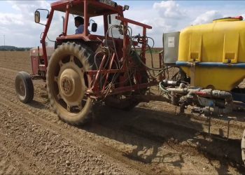 Fertilização do milho VRT na forma líquida