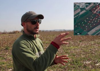 Fertilização Racional