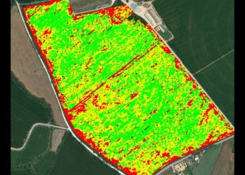 Fórum Pioneer 2015     Parcerias para a inovação na produção de Milho
