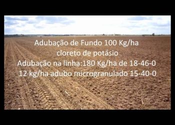 Inicio das sementeiras 2010