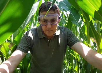 Limitações no controlo de uma seara de Milho (nececessidade de drones ou satélites)