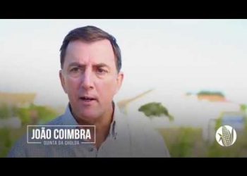 Milho Amarelo (vídeo oficial do projecto)