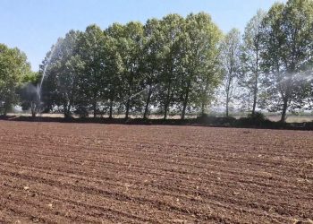 Necessidade de rega de emergência com excesso de calor