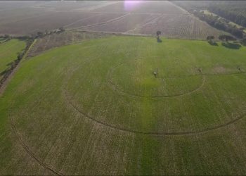 O descanso do guerreiro!!!