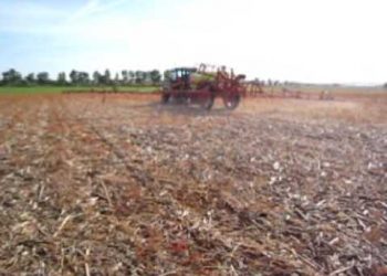 Pós Sementeira 2009