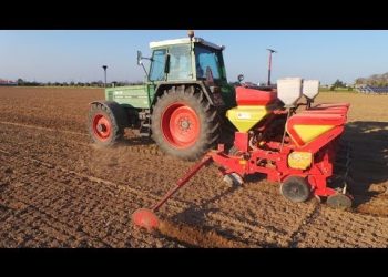 Primeiras sementeiras 2014