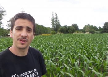 Projecto Otimus Prime. Avaliação de Áreas de Foco Ecológico (EFA)