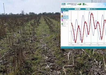 Quando posso começar a semear o Milho?