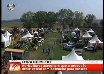 Reportagem na SIC 12 09 2009