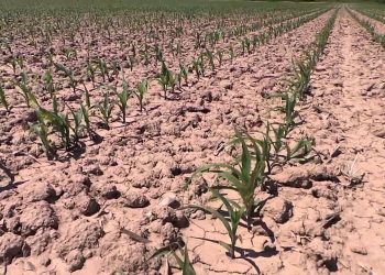 Riscos: frio e excesso de água na emergência (translated) 2013-05-25