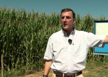 Selecção agricultura  “A cultura do Milho”  (SIC noticias 2015) HD