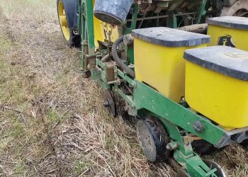 Sementeira directa 2019