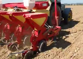 Sementeiras 2015 (translated)