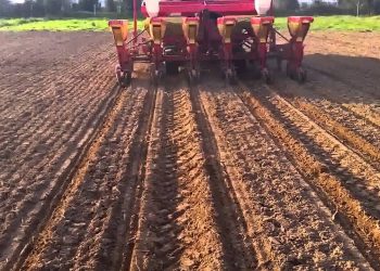 Sementeiras 2016 Inicio com frio e chuva