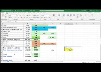 Conta de Cultura do Milho 2020