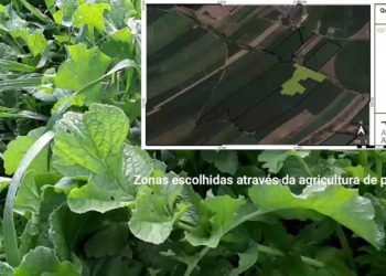 Bio fumigação – Cultura de Cobertura de Precisão – Cap. 1/2