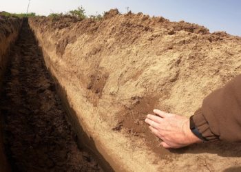 Perfil de um Solo no Vale do Tejo