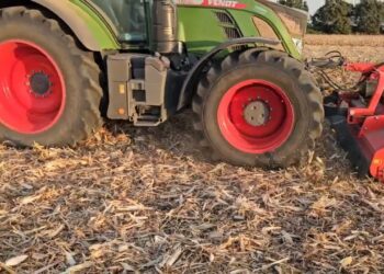 Semear Cultura de Cobertura sem Mobilização